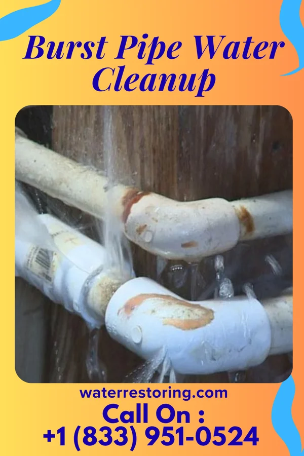 Burst Pipe Water Cleanup in New Brunswick, NJ