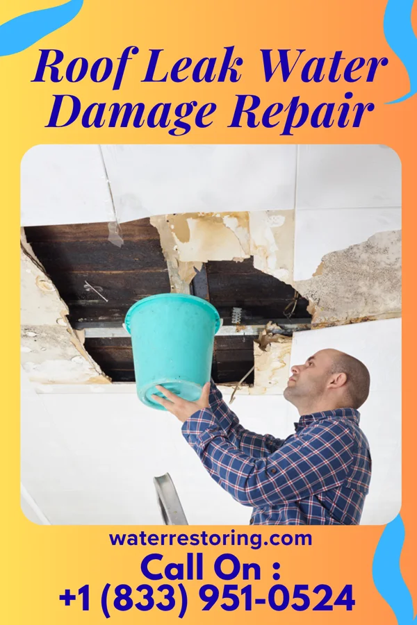 Roof Leak Water Damage Repair in New Brunswick, NJ